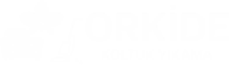 Orkide Koltuk Yıkama